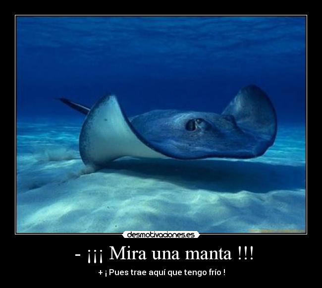 carteles manta desmotivaciones