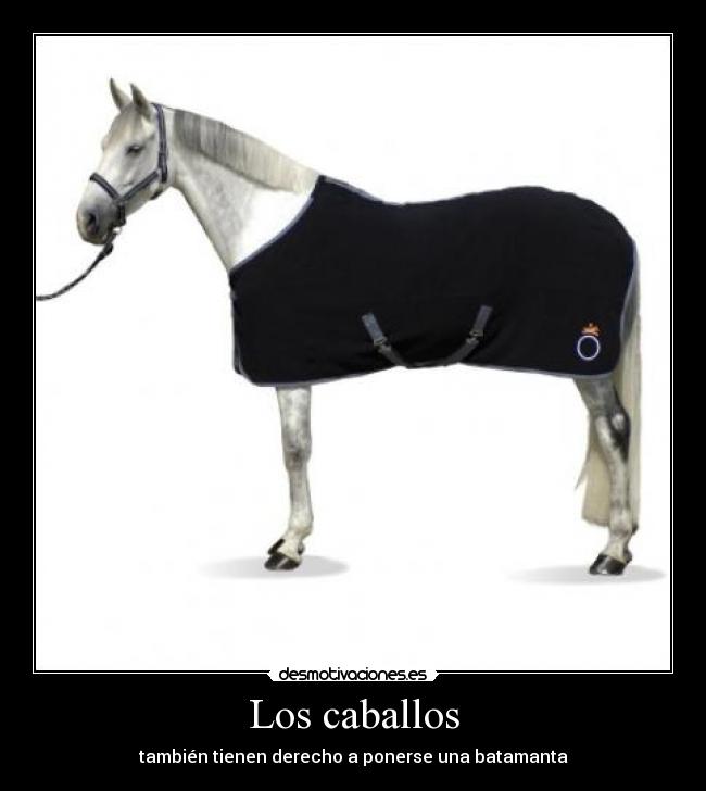 carteles  desmotivaciones