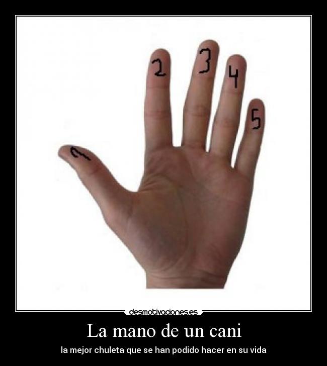 La mano de un cani - la mejor chuleta que se han podido hacer en su vida