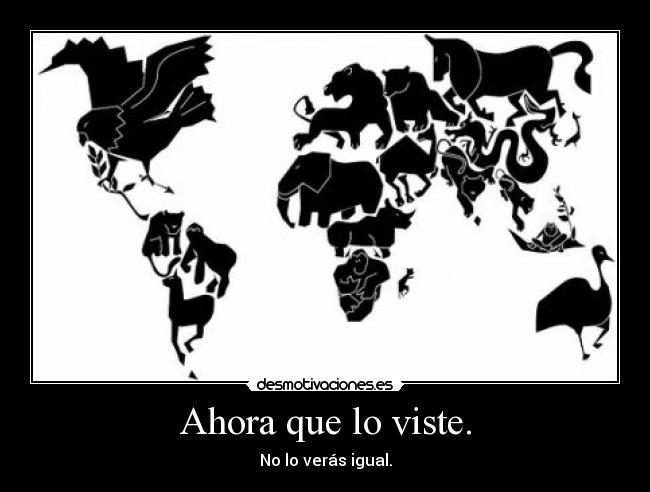 Ahora que lo viste. -