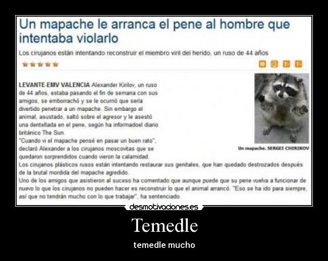 Temedle - 