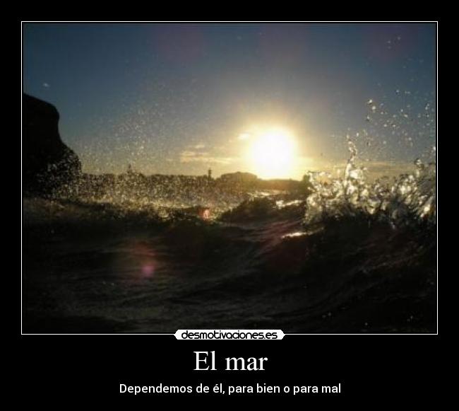 carteles maikl mar desmotivaciones