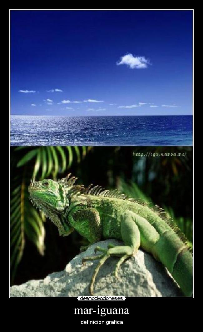 mar-iguana - definicion grafica