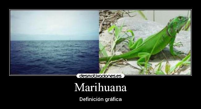 Marihuana - Definición gráfica