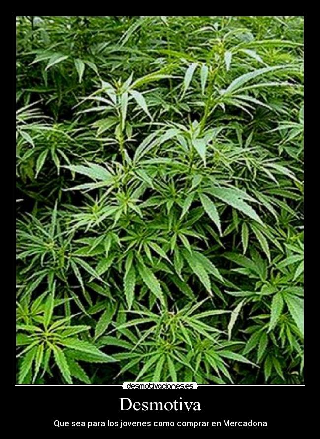 Desmotiva - Que sea para los jovenes como comprar en Mercadona