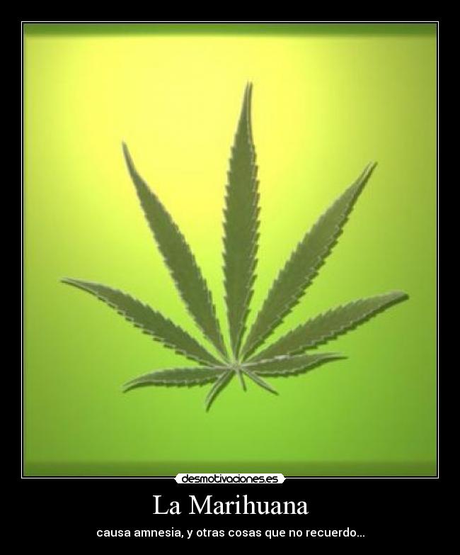 La Marihuana - causa amnesia, y otras cosas que no recuerdo...