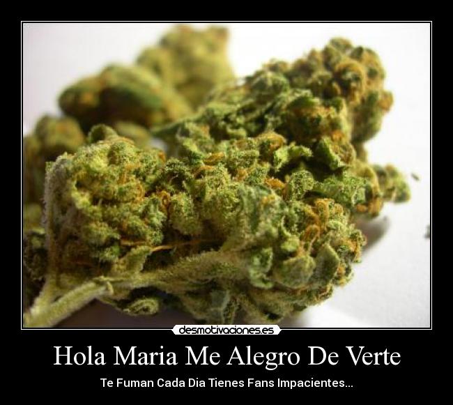 Hola Maria Me Alegro De Verte -