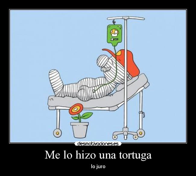 Me lo hizo una tortuga - lo juro