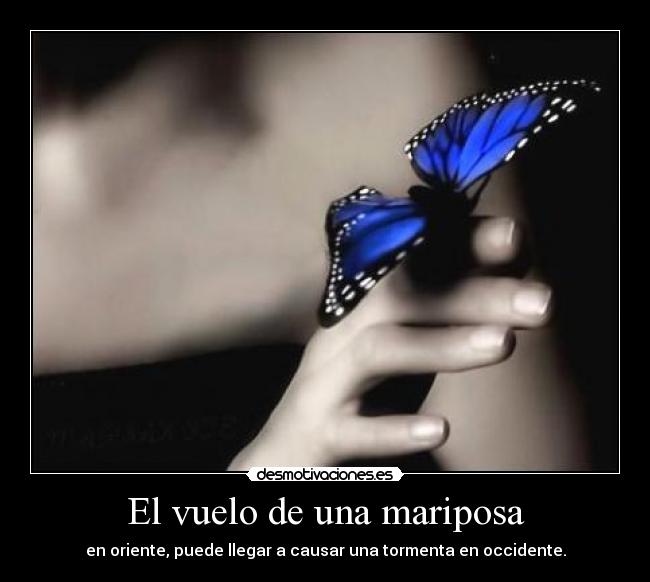 El vuelo de una mariposa - 