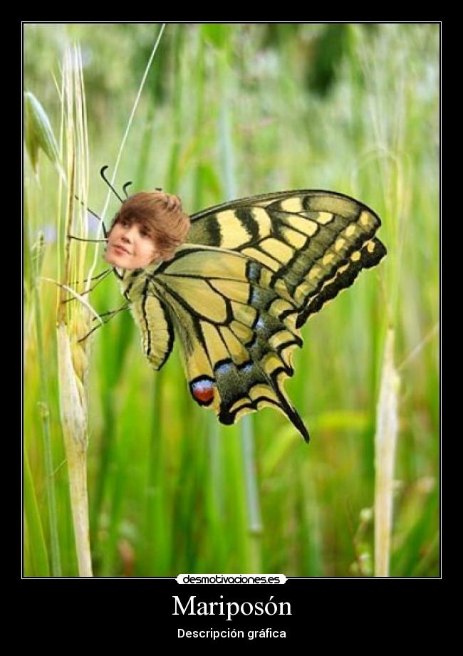 Mariposón -
