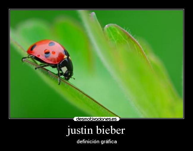 justin bieber - definición gráfica