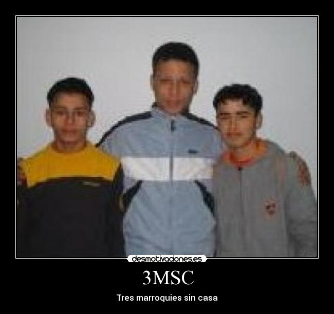 carteles 3msc tres marroquies sin casa desmotivaciones