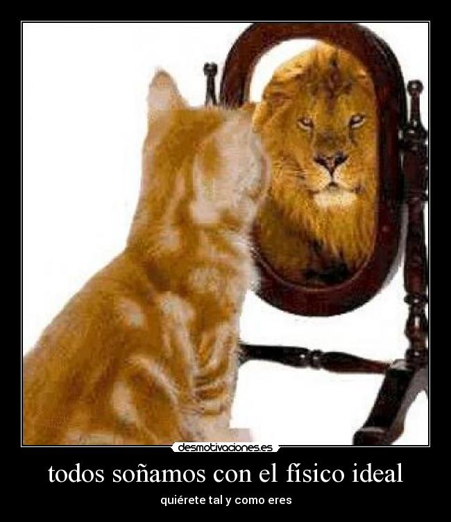 todos soñamos con el físico ideal -
