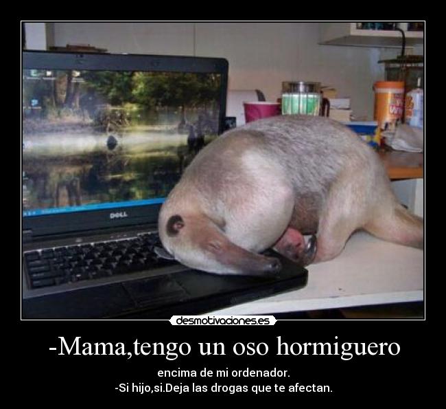 -Mama,tengo un oso hormiguero -