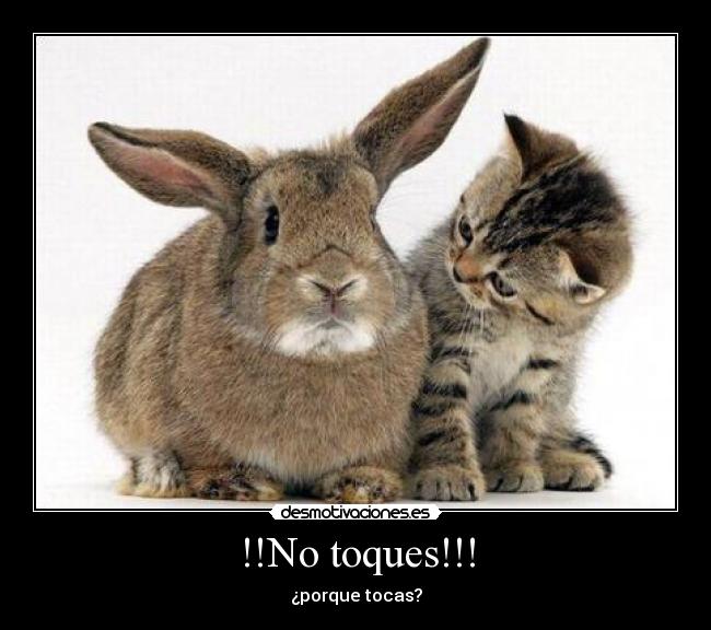 !!No toques!!! - 