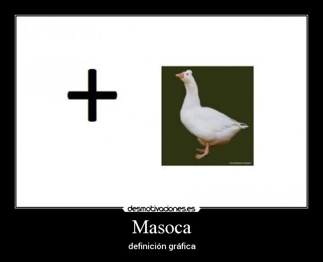 Masoca - definición gráfica