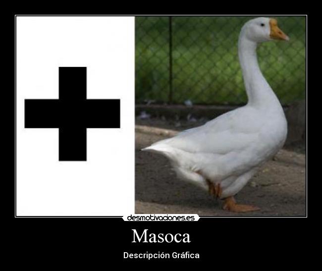 Masoca - 
