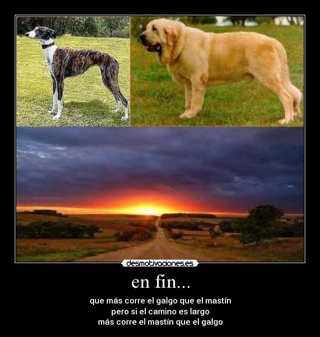 en fin... - que más corre el galgo que el mastín
pero si el camino es largo
más corre el mastín que el galgo