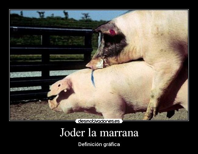 Joder la marrana - 