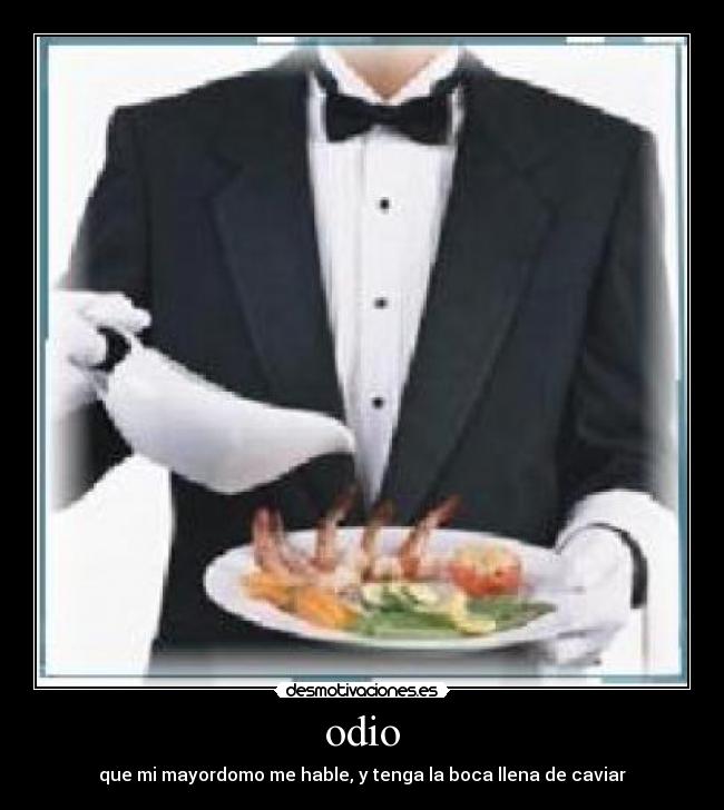 odio - 