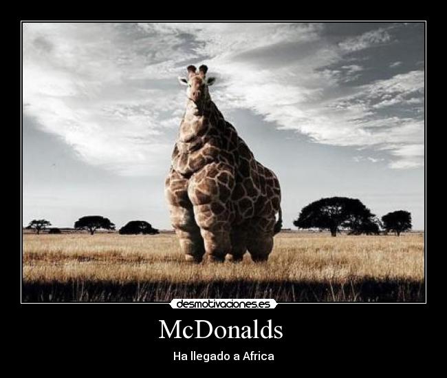 McDonalds -