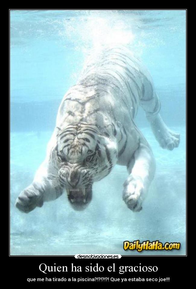 Quien ha sido el gracioso - 