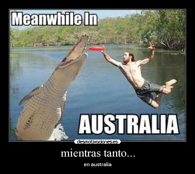carteles mientras tanto australia cocodrilos mar lol awesome memes desmotivaciones