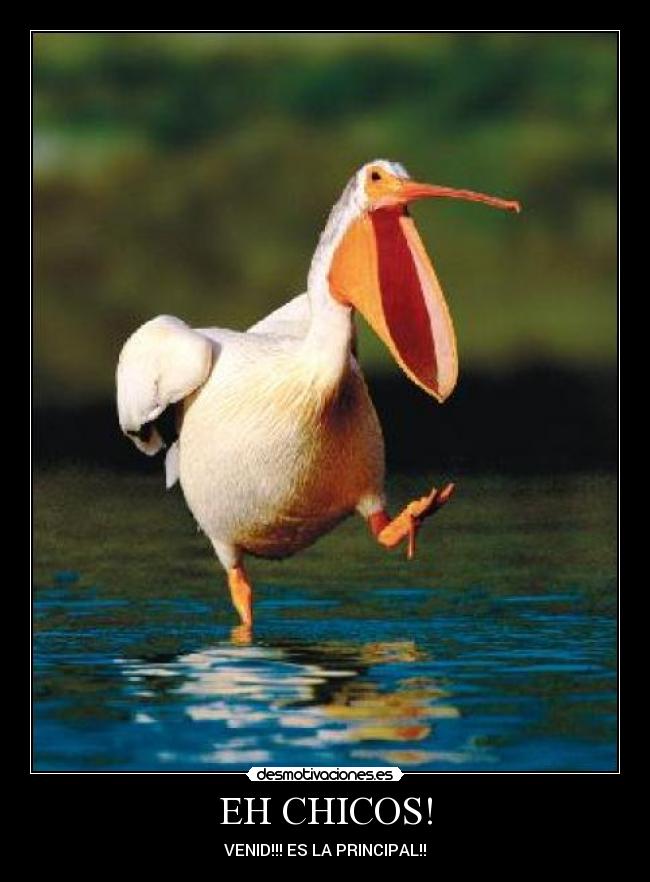 EH CHICOS! - VENID!!! ES LA PRINCIPAL!!