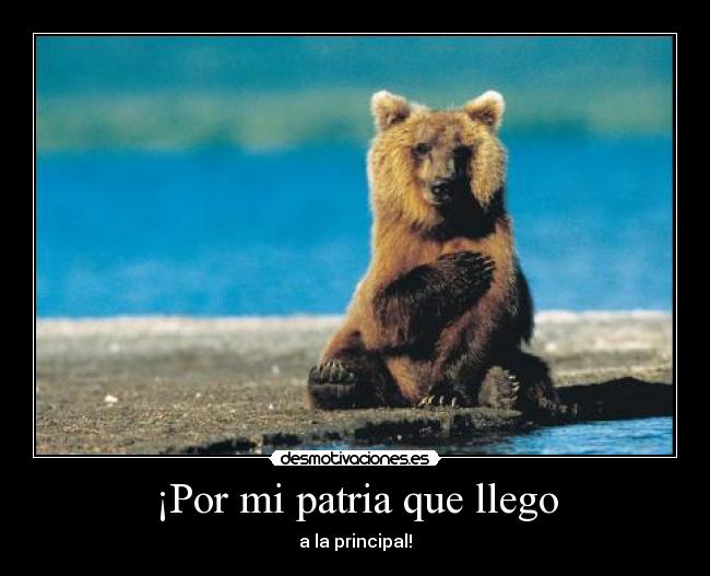 ¡Por mi patria que llego - a la principal!