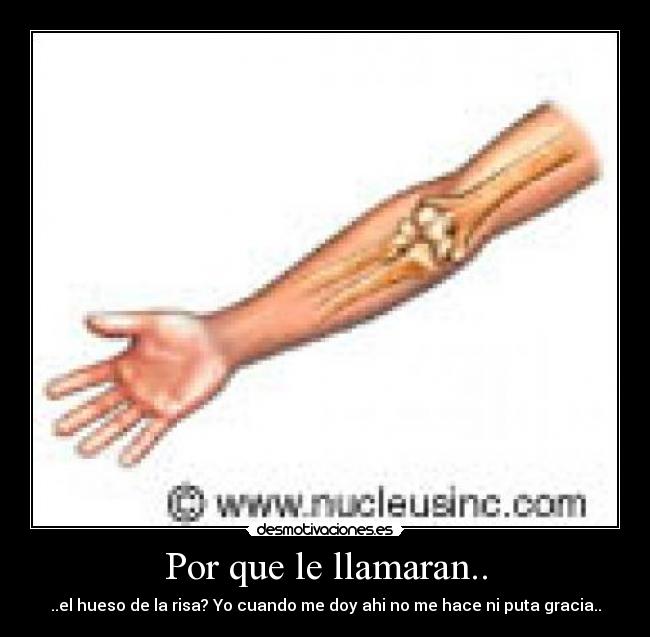Por que le llamaran.. -
