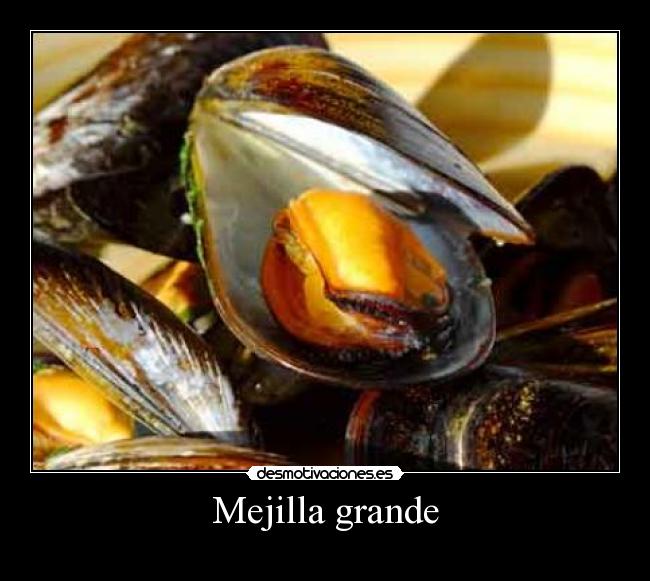 Mejilla grande - 