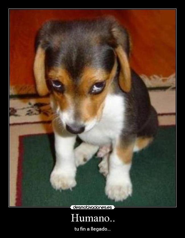 Humano.. - tu fin a llegado...