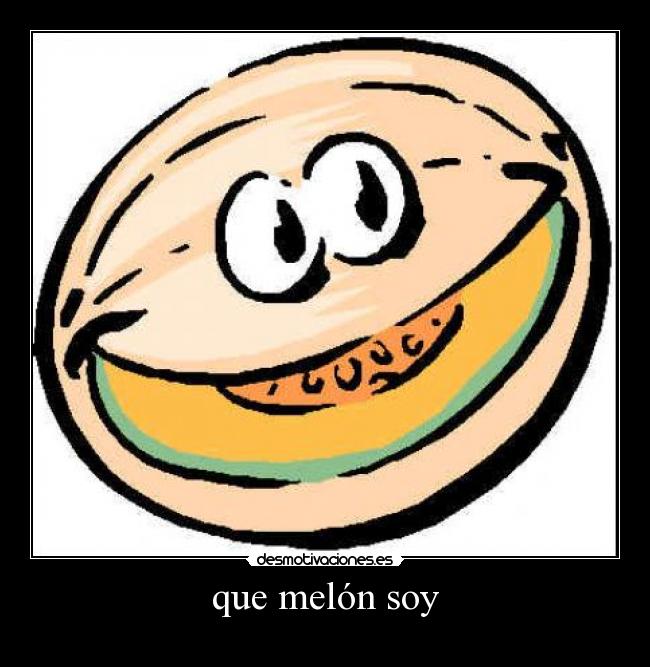 carteles que melon soy desmotivaciones