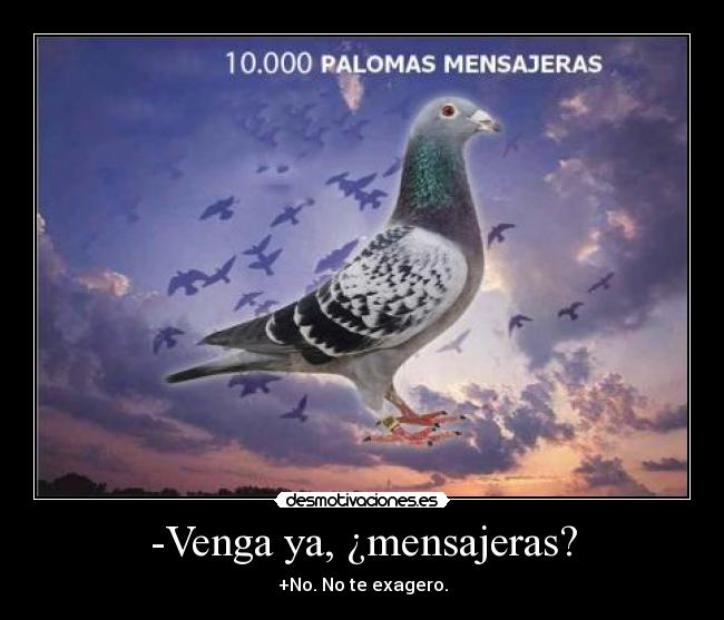 -Venga ya, ¿mensajeras? - +No. No te exagero.
