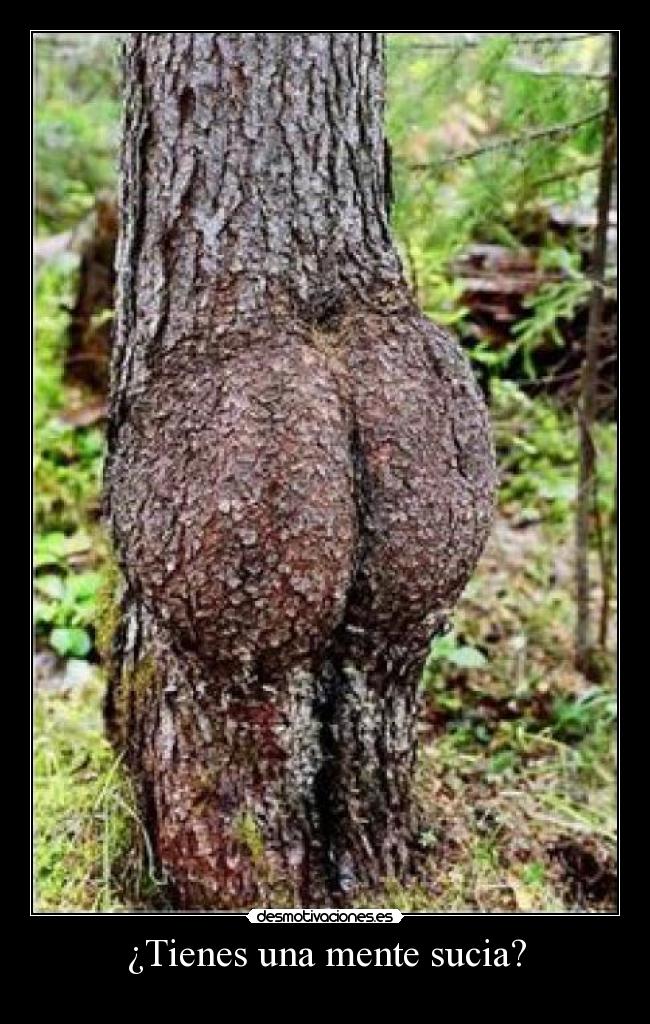 ¿Tienes una mente sucia? - 