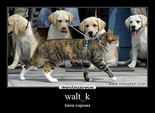 walt_k - 