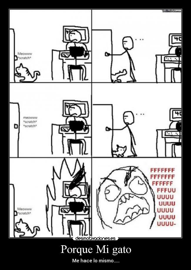 Porque Mi gato - Me hace lo mismo.....