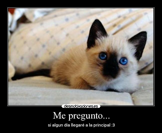 Me pregunto... - si algun día llegaré a la principal :3