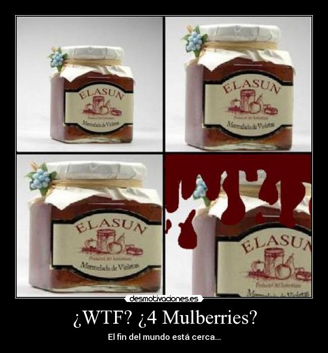 ¿WTF? ¿4 Mulberries? - 