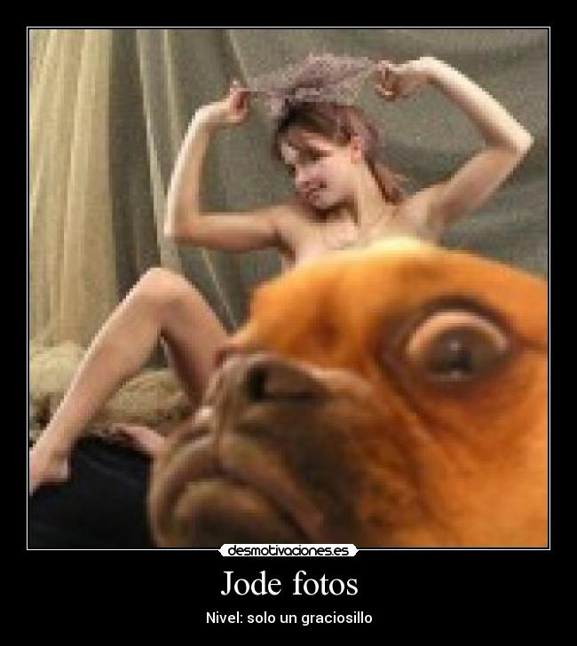 Jode fotos - Nivel: solo un graciosillo