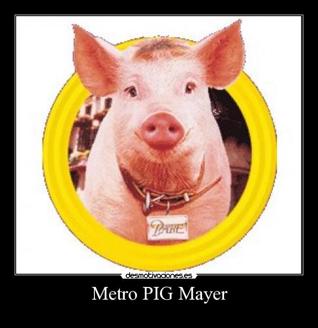 Metro PIG Mayer -