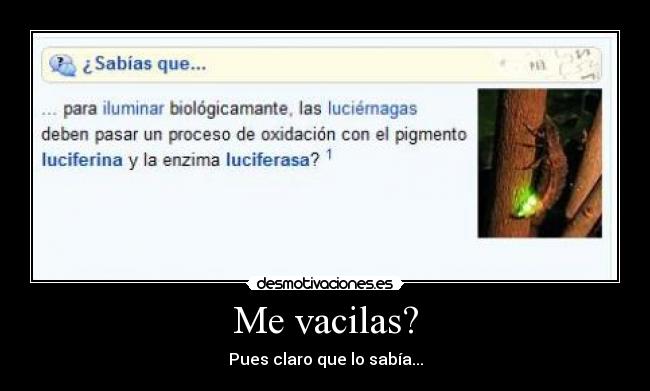 Me vacilas? - Pues claro que lo sabía...