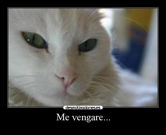 Me vengare... -