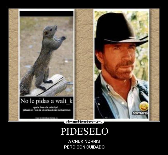 PIDESELO - A CHUK NORRIS
PERO CON CUIDADO