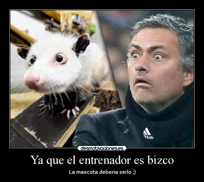 Ya que el entrenador es bizco -