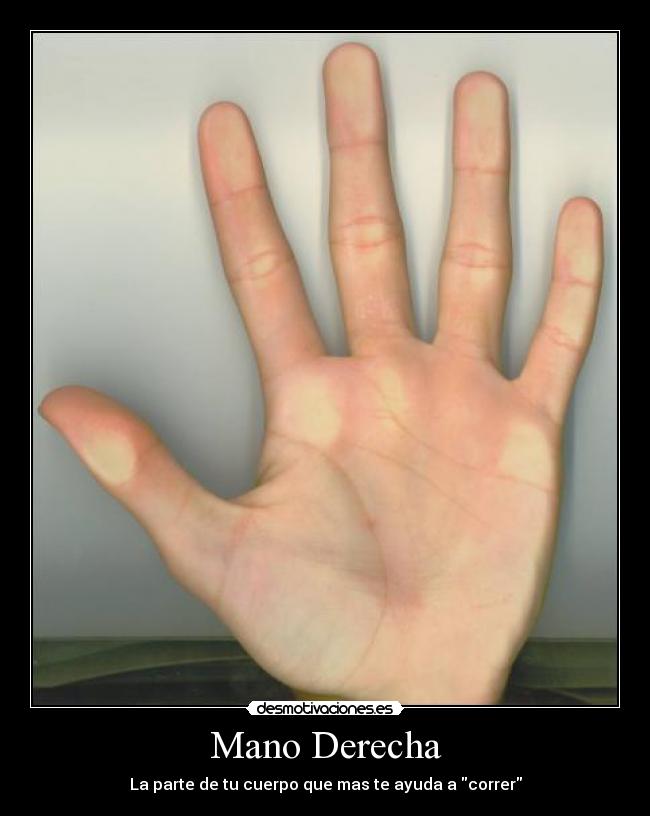 Imágenes y Carteles de DERECHA Pag. 43 Desmotivaciones