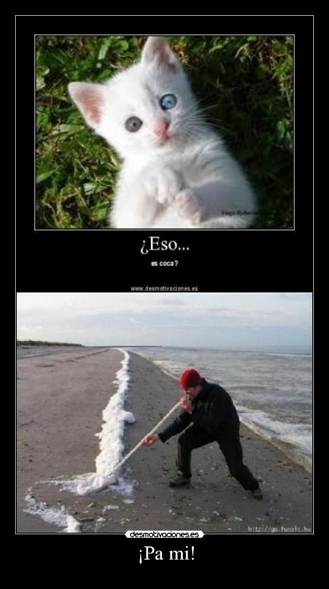 ¡Pa mi! -