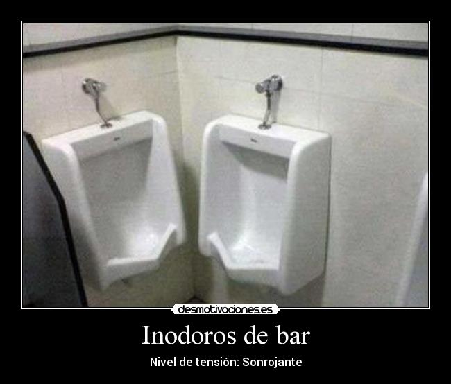 Inodoros de bar - 