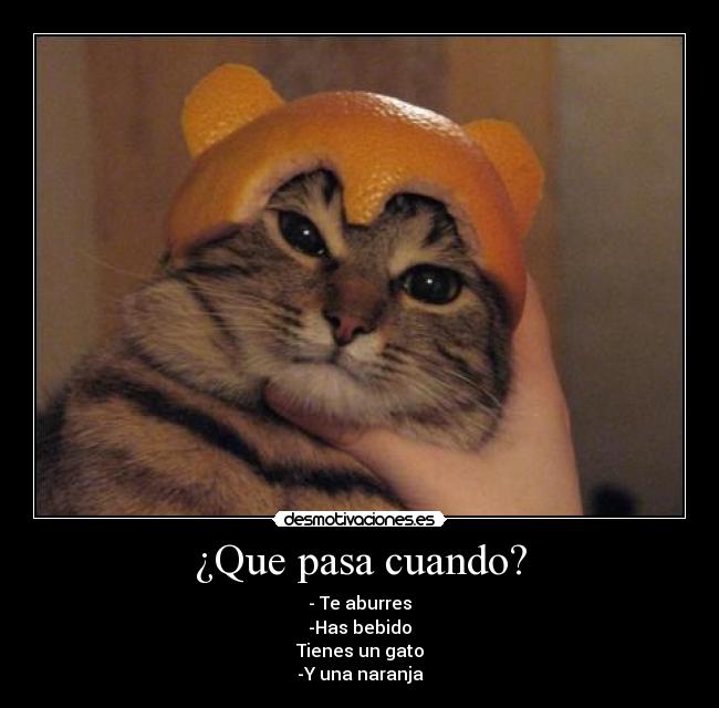¿Que pasa cuando? - 