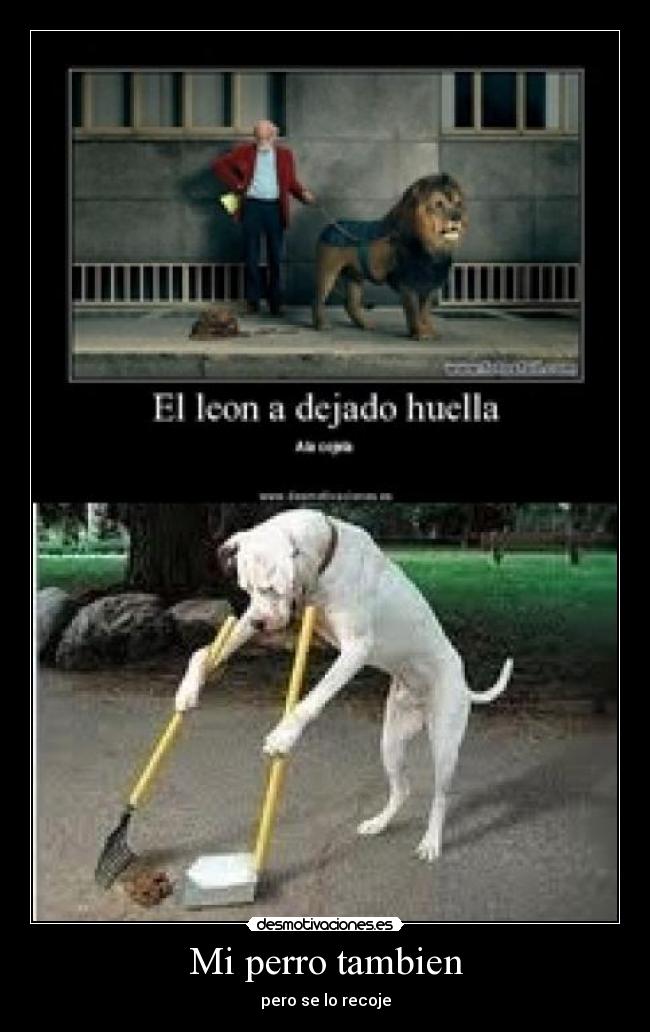 Mi perro tambien -